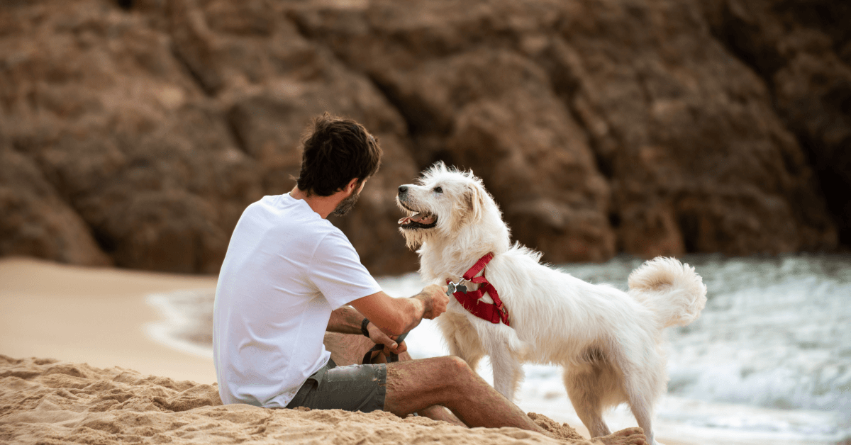 I migliori stabilimenti balneari per cani a Ostuni