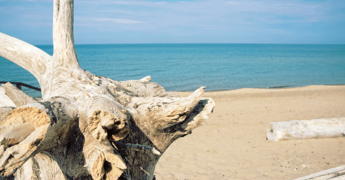 Le migliori spiagge del Litorale Romano