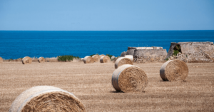 spiagge savelletri