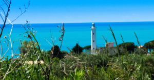 spiagge falerna