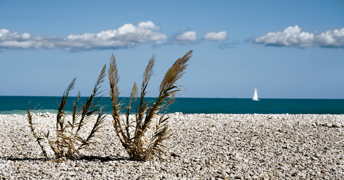 Alla scoperta delle migliori spiagge di Fossacesia - Spiagge.it