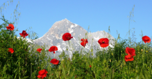 itinerari trekking abruzzo, parco gran sasso, gole del sagittario, parco nazionale