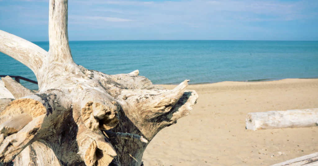 spiagge litorale romano, lazio, anzio, sabaudia, santa marinella